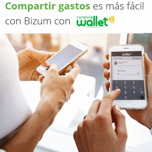 Bizum 300x300
